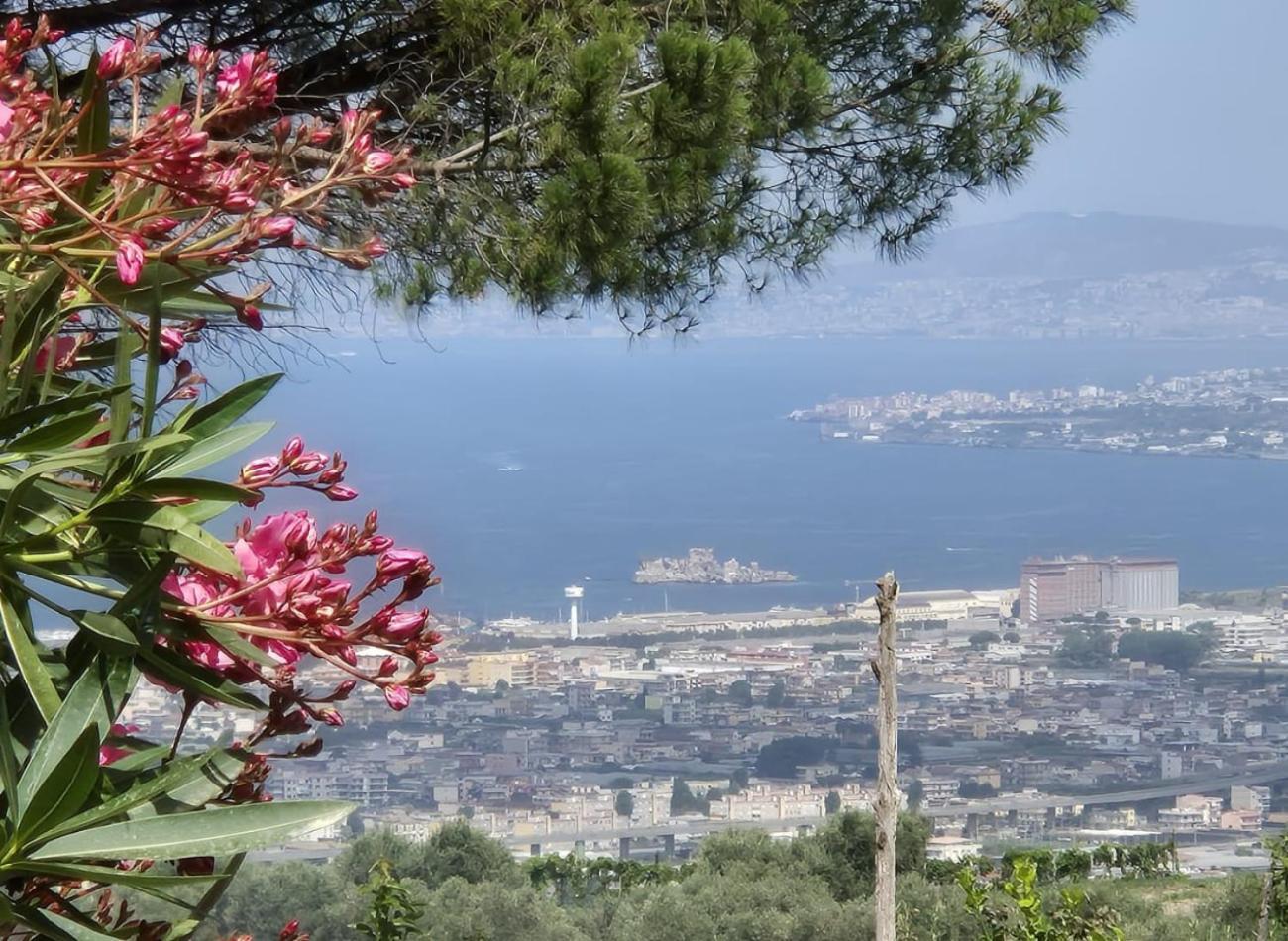 לינה וארוחת בוקר Casola di Napoli La Vigna Del Vento מראה חיצוני תמונה